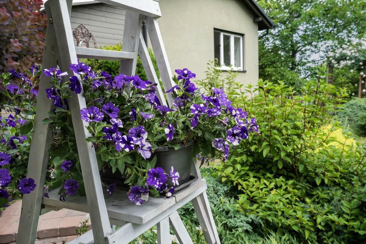 House - Two Bedroom * Bielsko-Biala